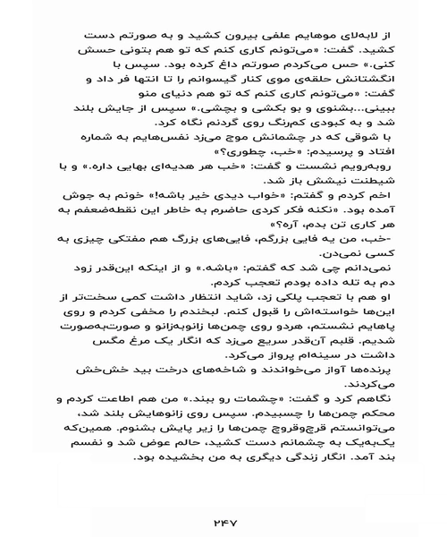 درباری از خار و رز - نمونه چهارم - جزیره کتاب های الکترونیکی
